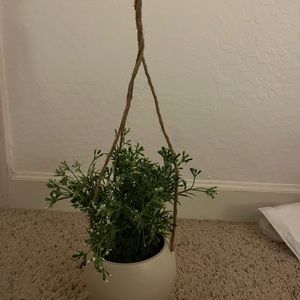 fake hanging plant